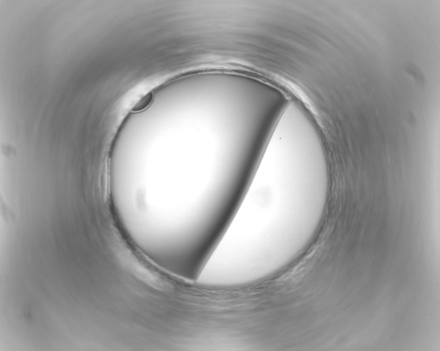 X0000090961371200708021113