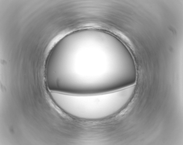 X0000090961373200708021113