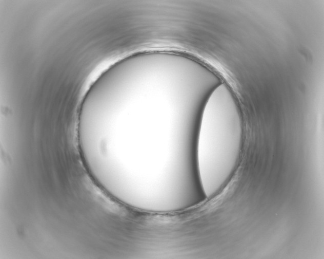 X0000090961374200708021113