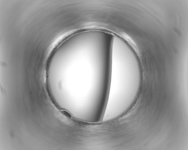 X0000090961376200708021113