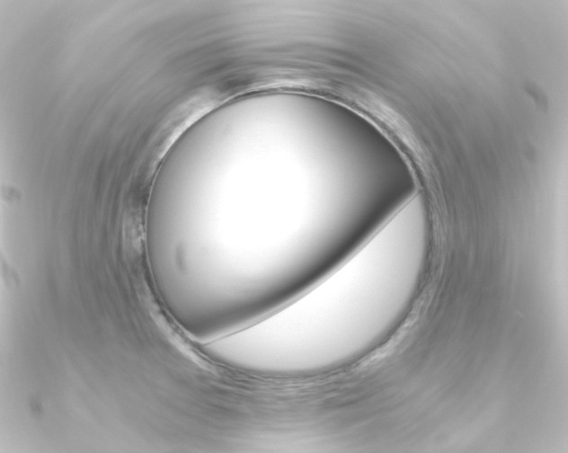 X0000090961377200708021113
