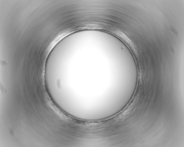 X0000090961378200708021113