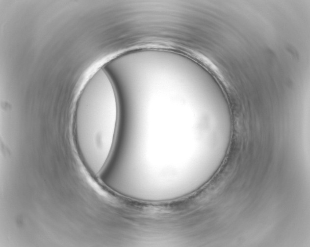 X0000090961379200708021113