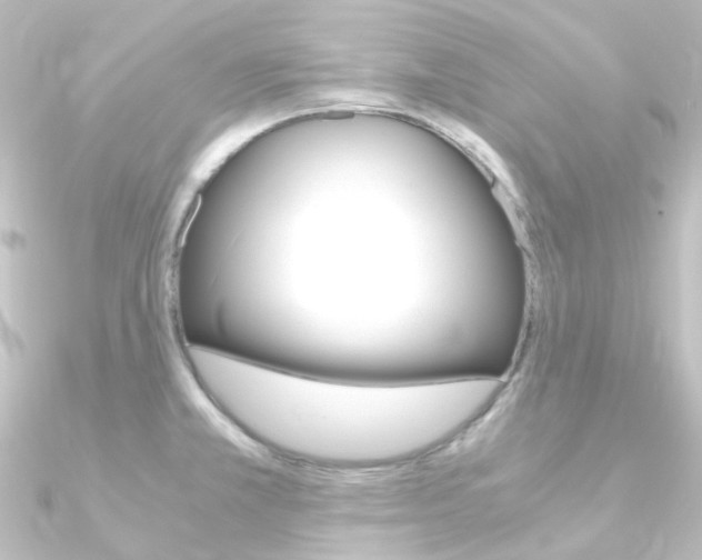 X0000090961381200708021113