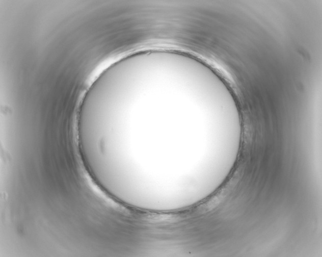 X0000090961382200708021113