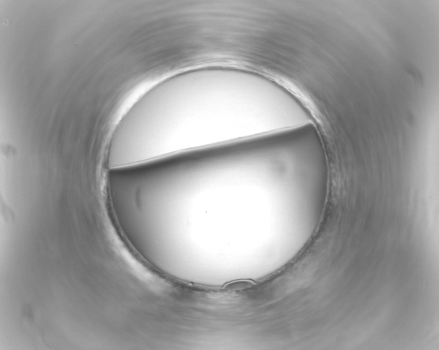 X0000090961383200708021113
