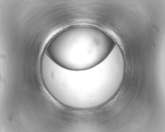 X0000090961384200708021113