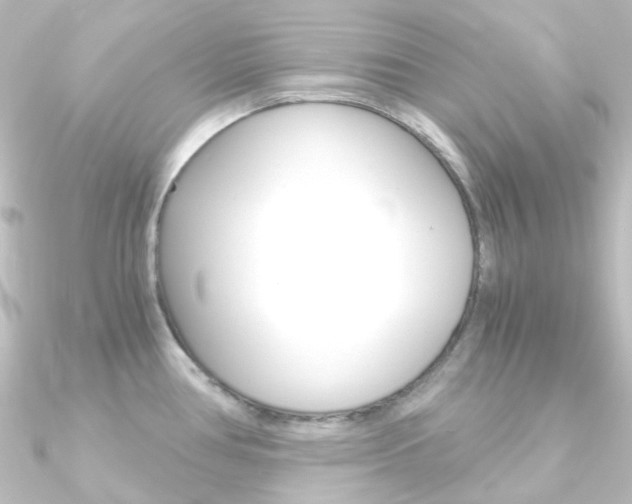 X0000090961386200708021113
