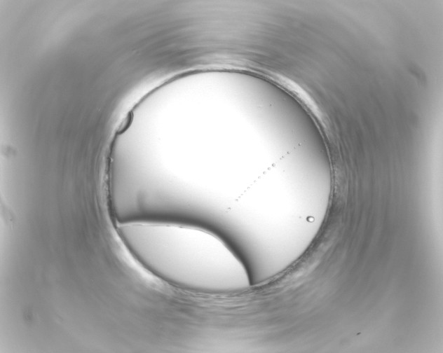 X0000090961387200708021113