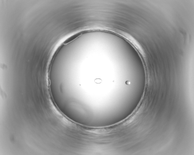 X0000090961388200708021113