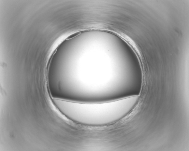 X0000090961389200708021113