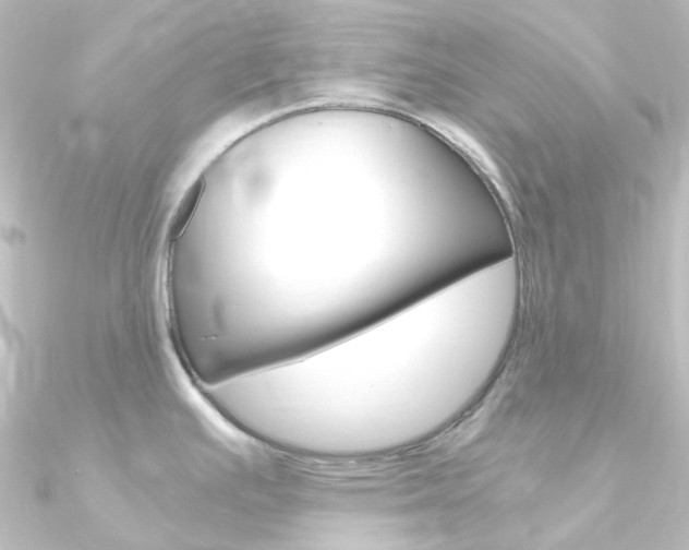 X0000090961391200708021113