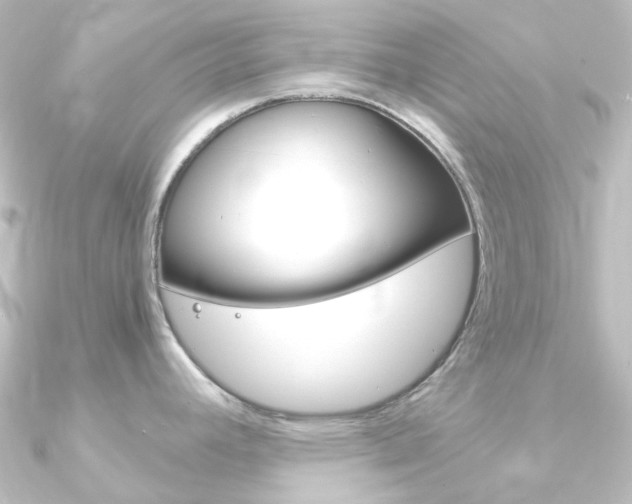 X0000090961392200708021113
