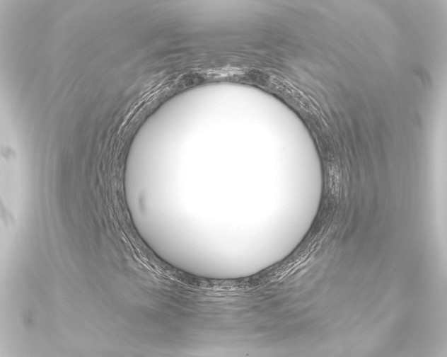 X0000090961393200708021112