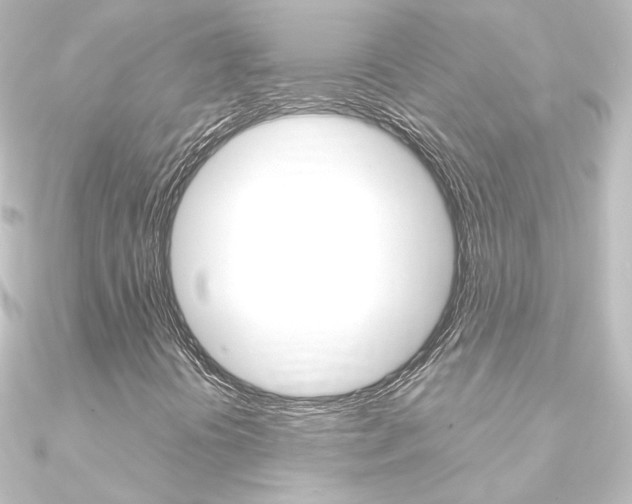 X0000090961394200708021112