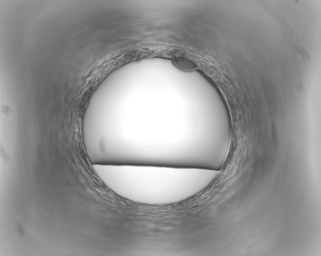 X0000090961397200708021112