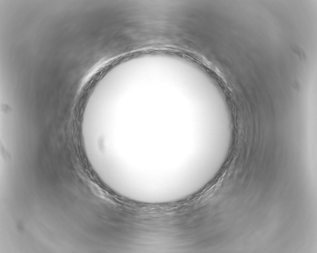 X0000090961400200708021112