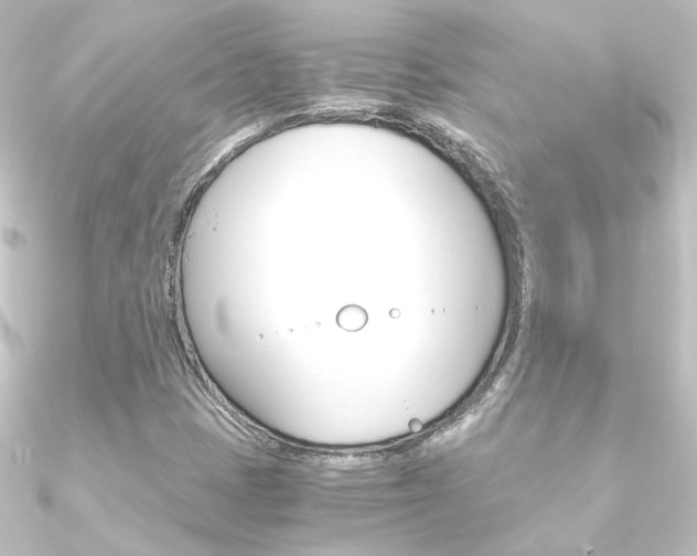X0000090961401200708021112