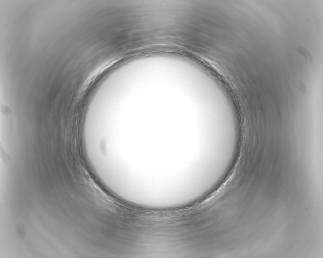 X0000090961402200708021112