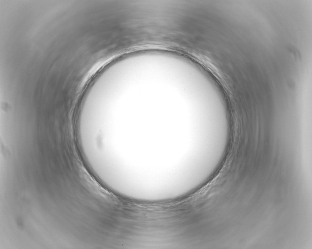 X0000090961404200708021112