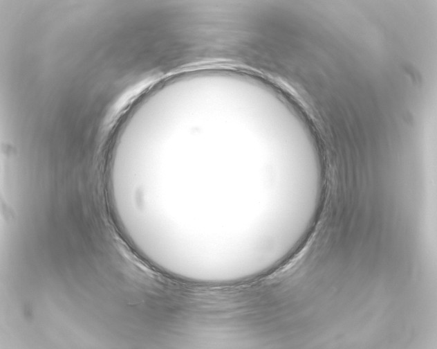 X0000090961406200708021112