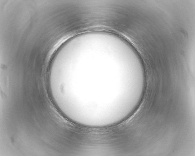 X0000090961410200708021112