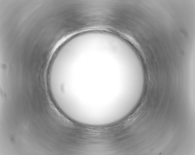 X0000090961412200708021112