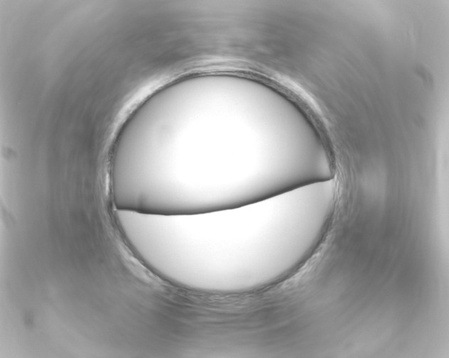 X0000090961413200708021112