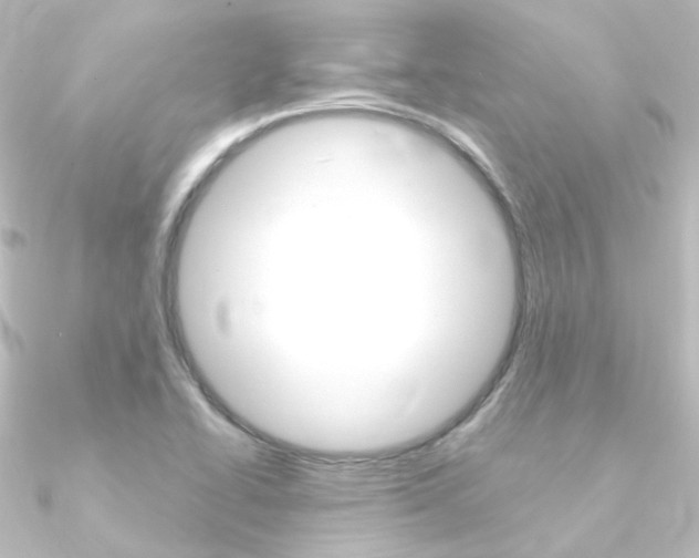 X0000090961414200708021112