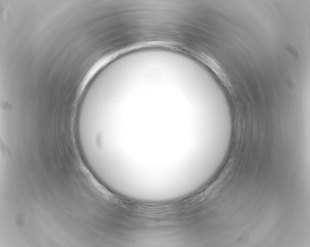 X0000090961420200708021112