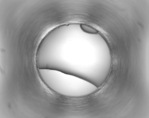 X0000090961423200708021112