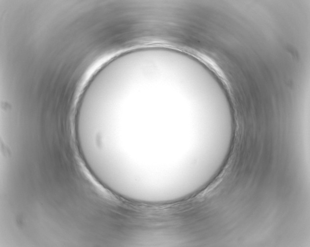 X0000090961424200708021112