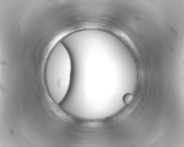 X0000090961427200708021112