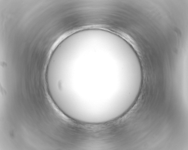 X0000090961428200708021112