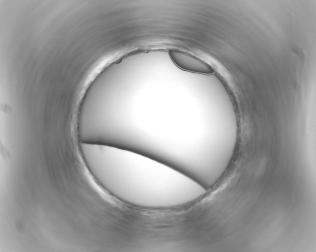 X0000090961429200708021112