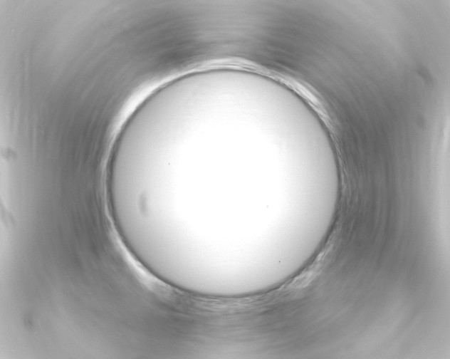 X0000090961430200708021112