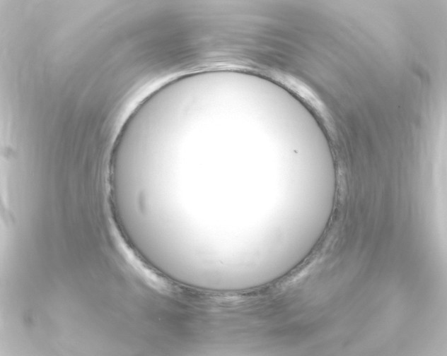 X0000090961431200708021113