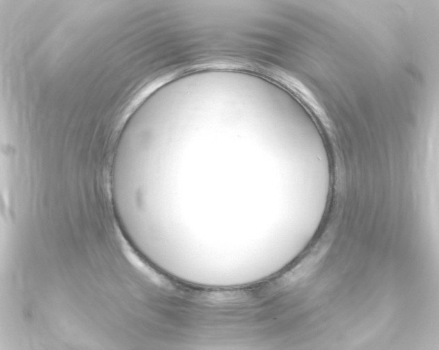 X0000090961433200708021113
