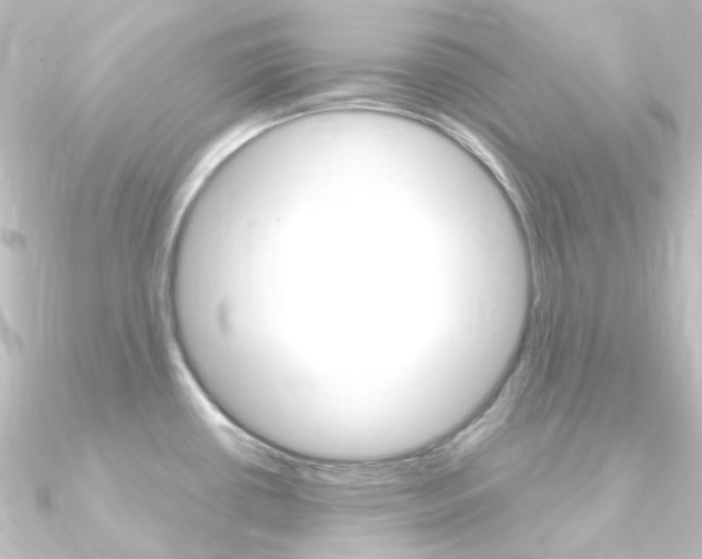 X0000090961434200708021113