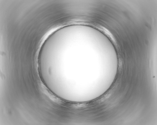 X0000090961435200708021113