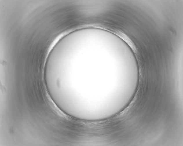 X0000090961436200708021113