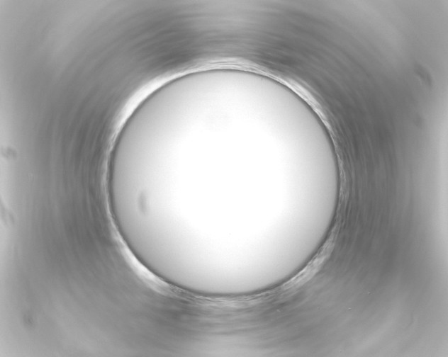 X0000090961438200708021113
