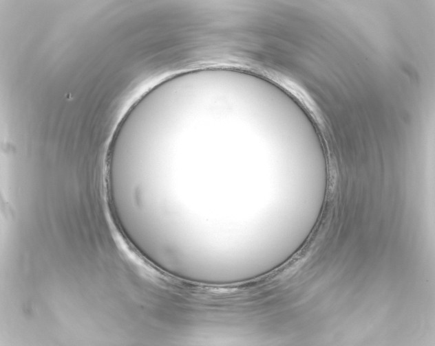 X0000090961439200708021113