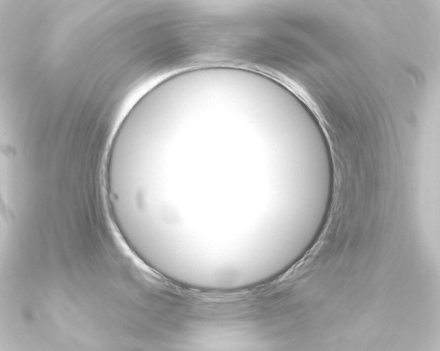 X0000090961440200708021113