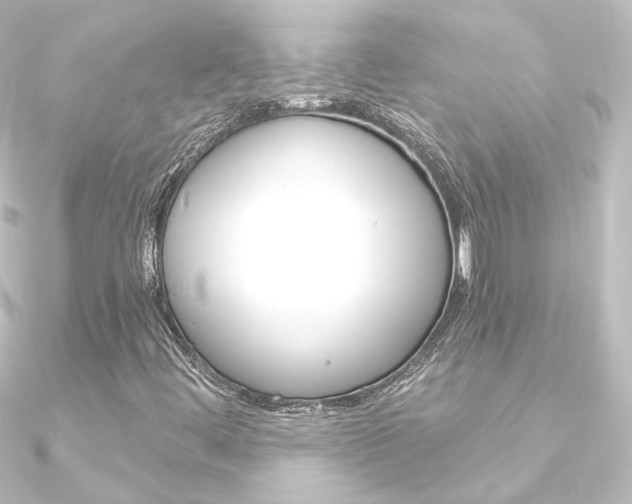 X0000090961444200708021112