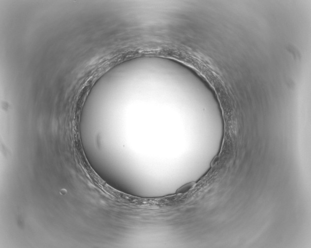 X0000090961445200708021112