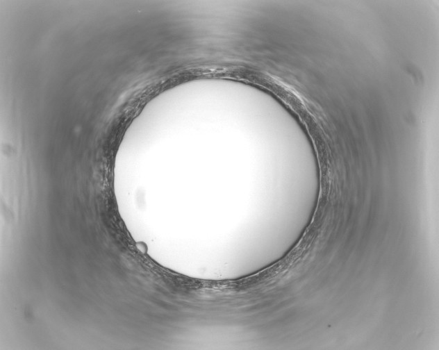 X0000090961447200708021112