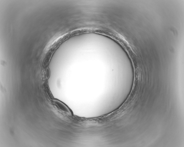 X0000090961448200708021112
