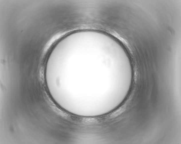 X0000090961454200708021112