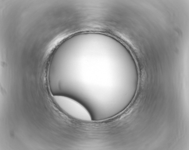 X0000090961455200708021112